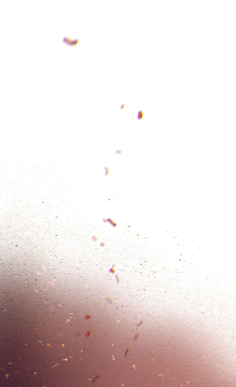 74588118 940 1538 81140